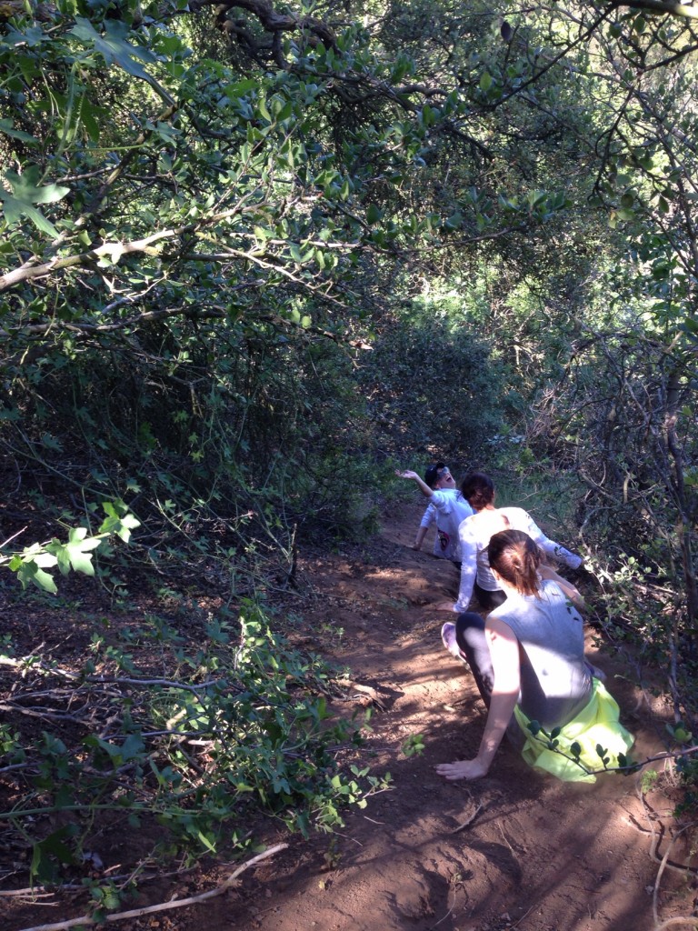 LA HIKING