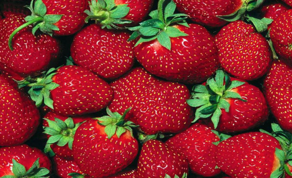 STRAWBERRIES