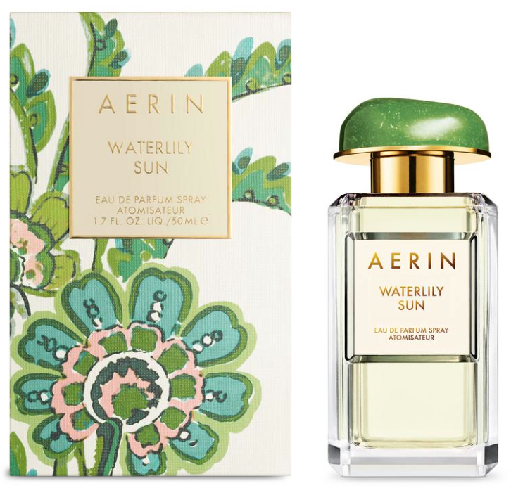 Simply Aerin Fortune Inspired