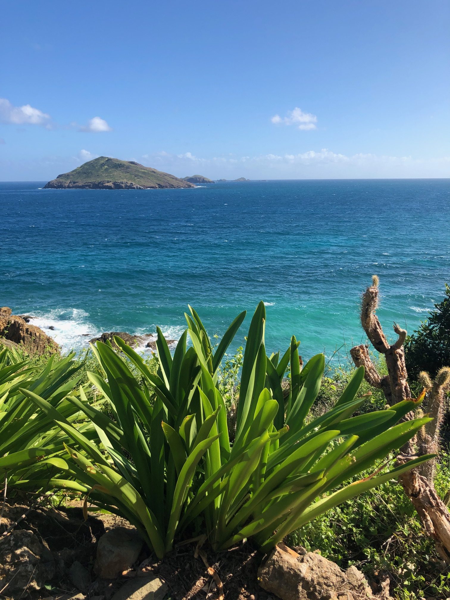 St. Barth's travel guide