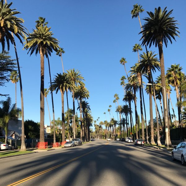 LA Diaries: My Holiday Part II