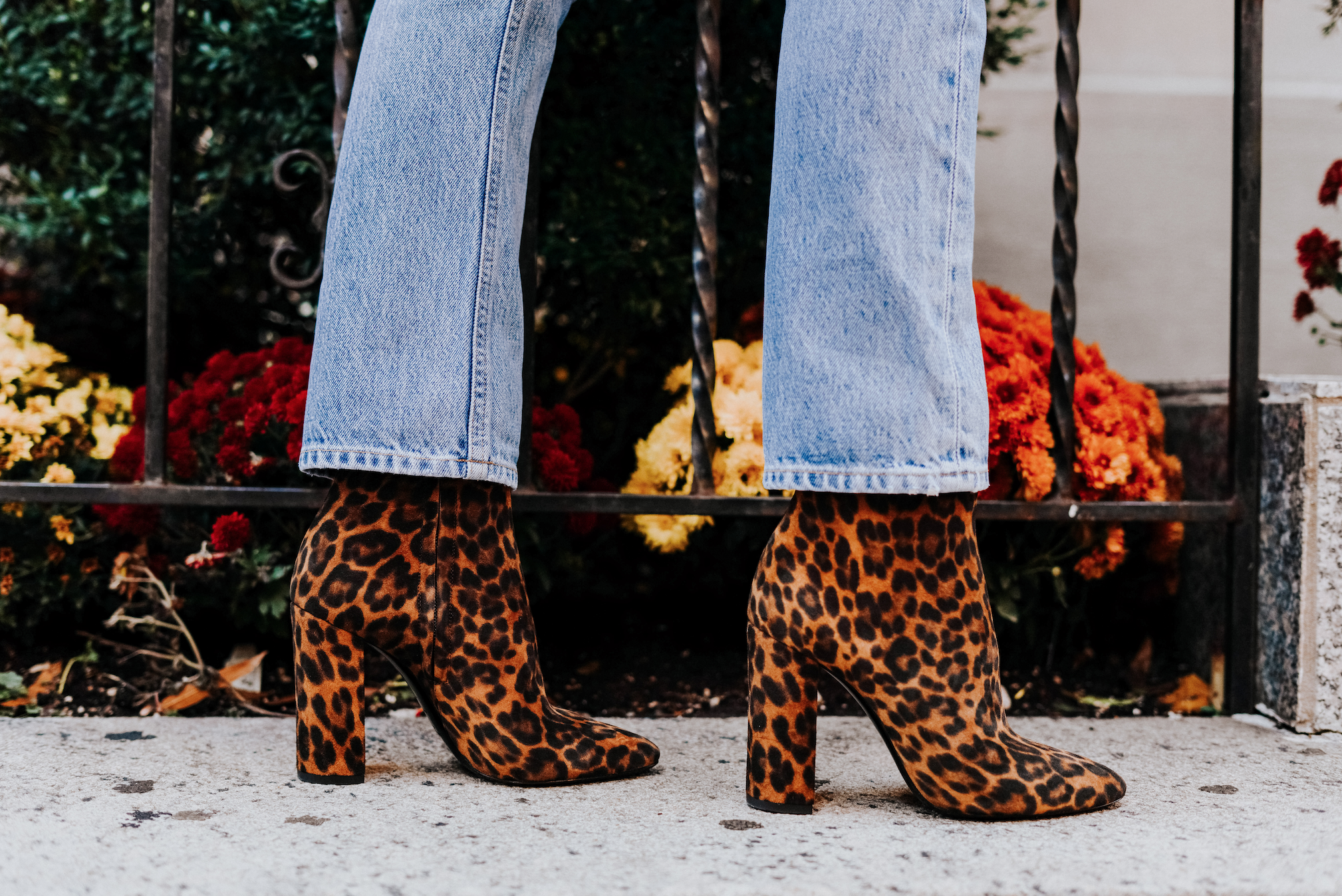 Ankle boots fall discount 2019